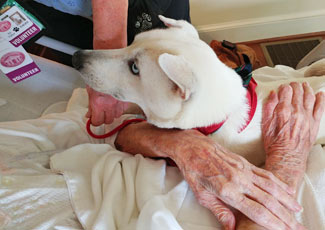 Catawba Valley Obedience Club Training, Hickory NC